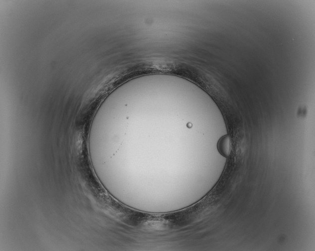 X0000112400595200908281752