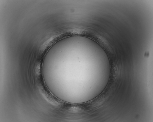 X0000112400596200908281752
