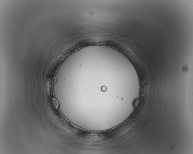 X0000112400597200908281752