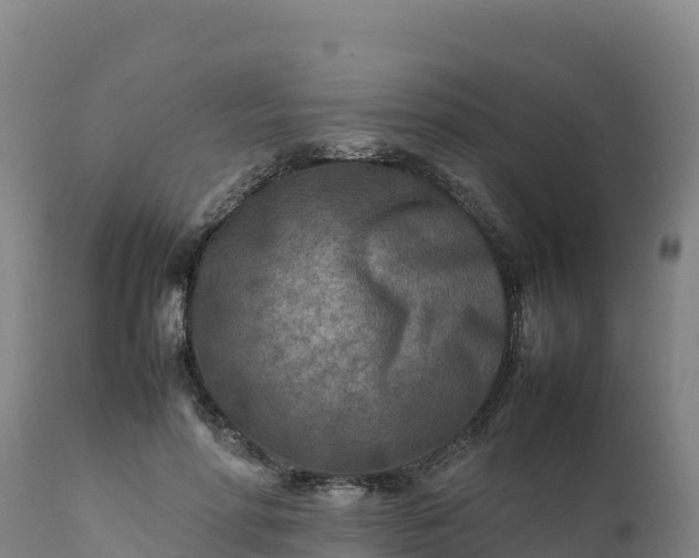 X0000112400598200908281752