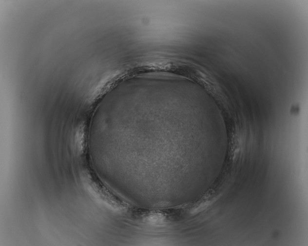 X0000112400600200908281752