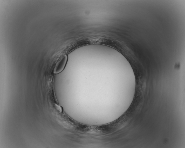 X0000112400601200908281752
