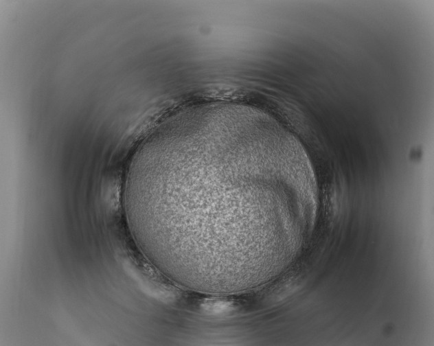 X0000112400602200908281752