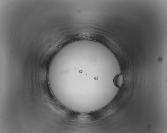 X0000112400603200908281752