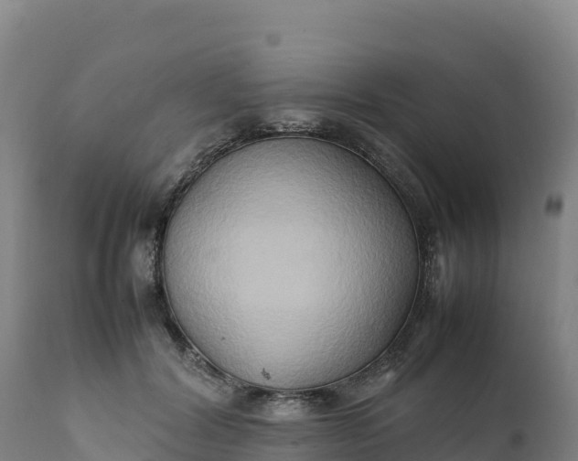X0000112400604200908281752