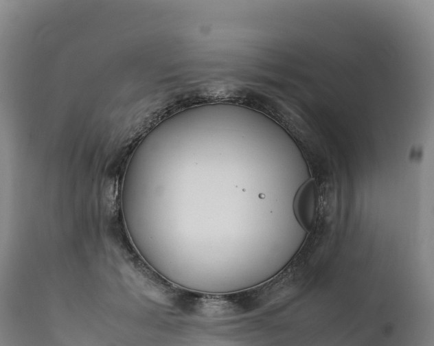 X0000112400605200908281752