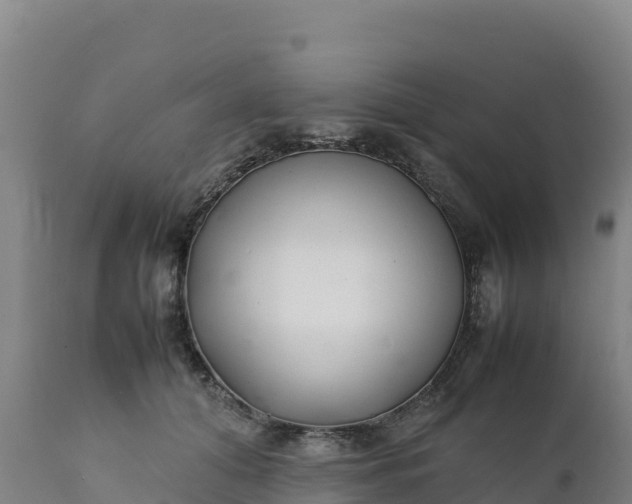X0000112400608200908281752