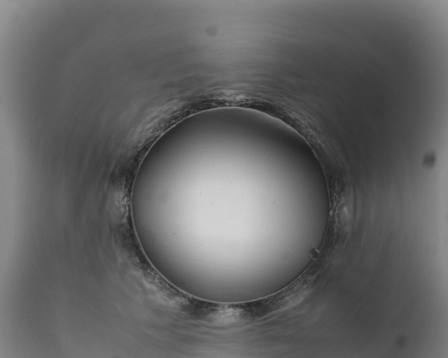 X0000112400609200908281752