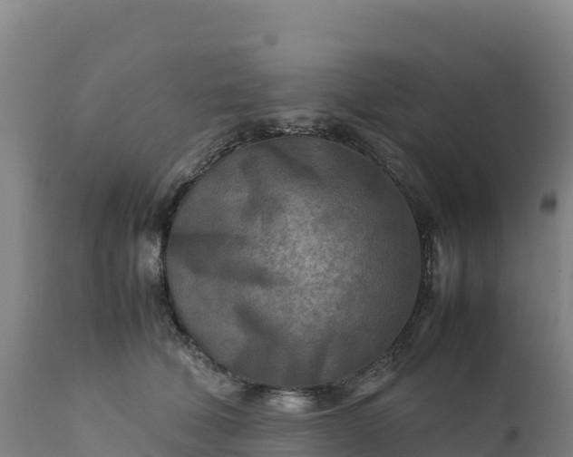 X0000112400610200908281752