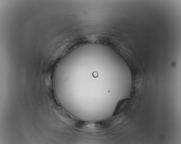 X0000112400611200908281752