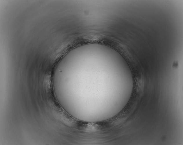 X0000112400612200908281752