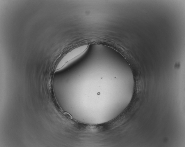 X0000112400613200908281752