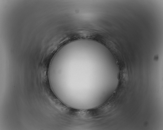 X0000112400615200908281752