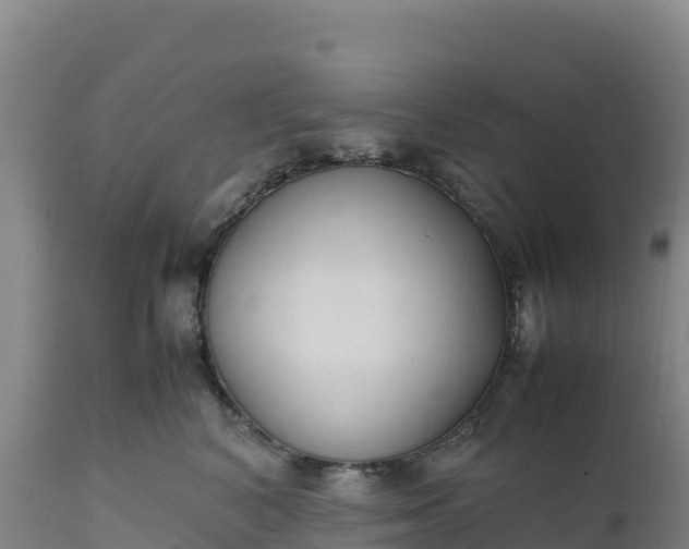 X0000112400616200908281752