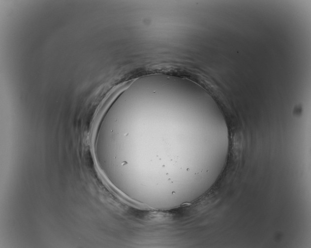 X0000112400617200908281752