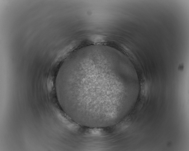 X0000112400618200908281752
