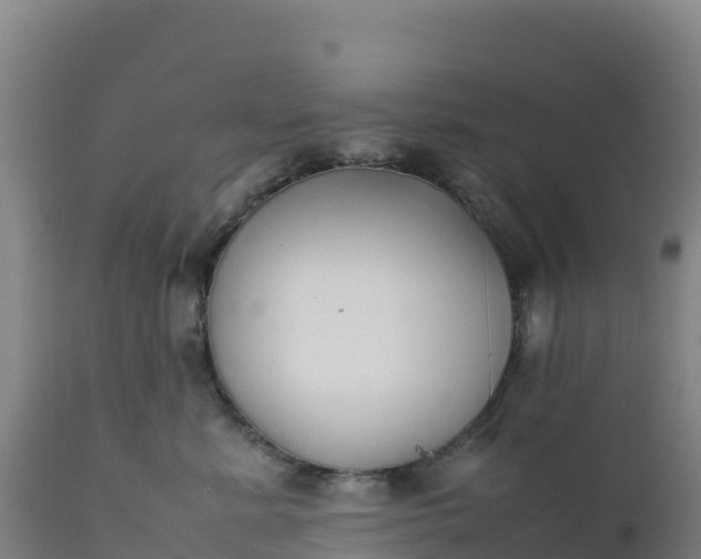 X0000112400619200908281752