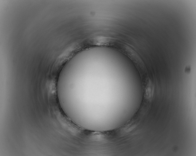 X0000112400620200908281752