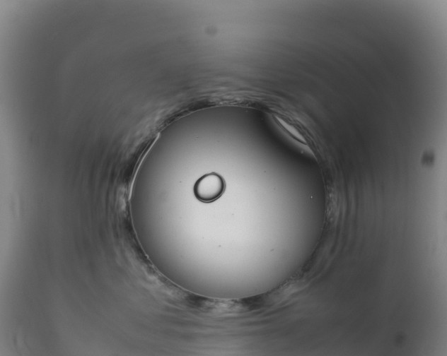 X0000112400621200908281752