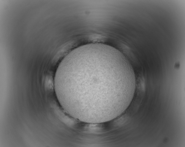 X0000112400622200908281752