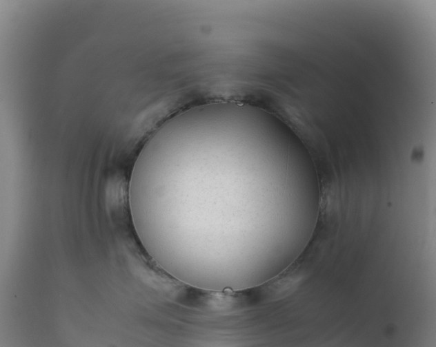 X0000112400623200908281752