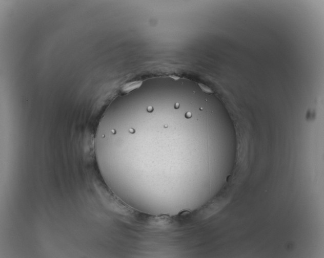 X0000112400624200908281752