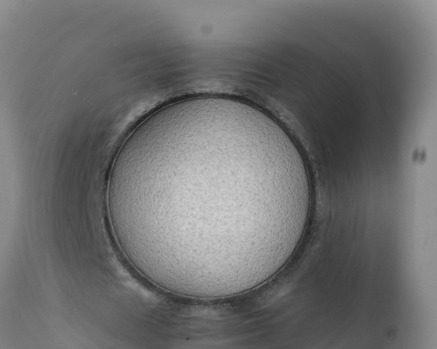 X0000112400625200908281751