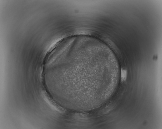 X0000112400627200908281751