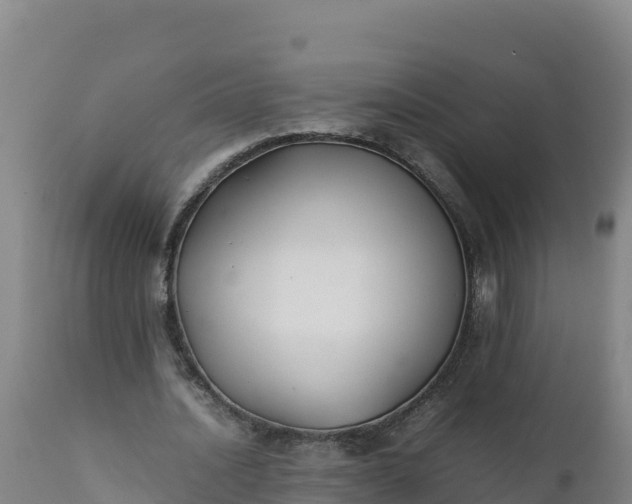 X0000112400628200908281751