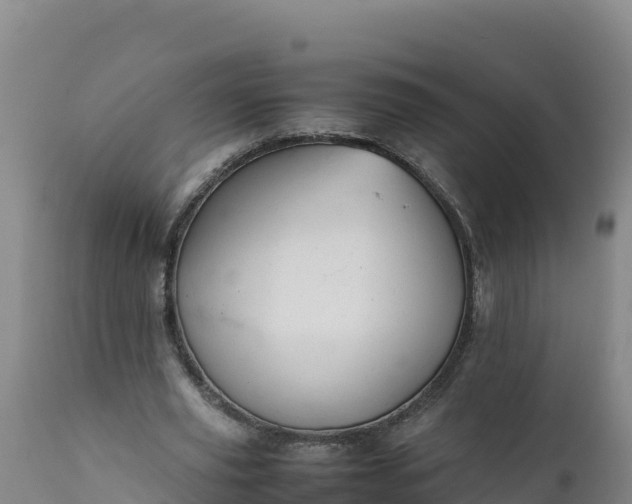 X0000112400629200908281751