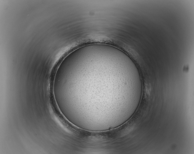 X0000112400630200908281751