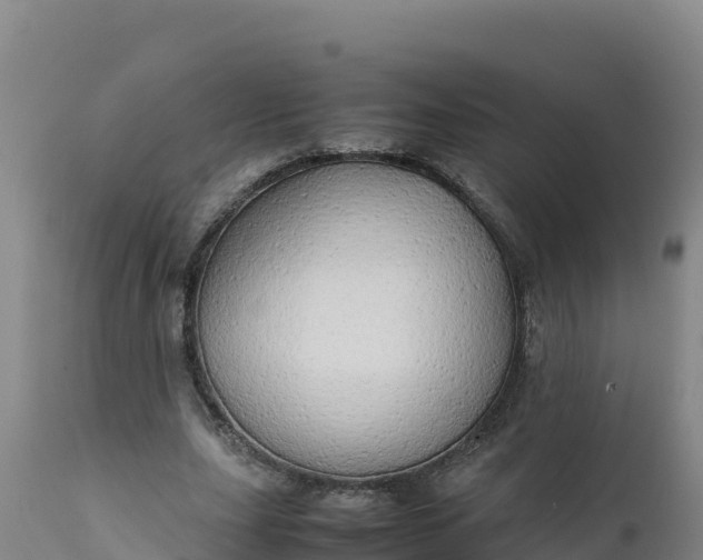 X0000112400631200908281751