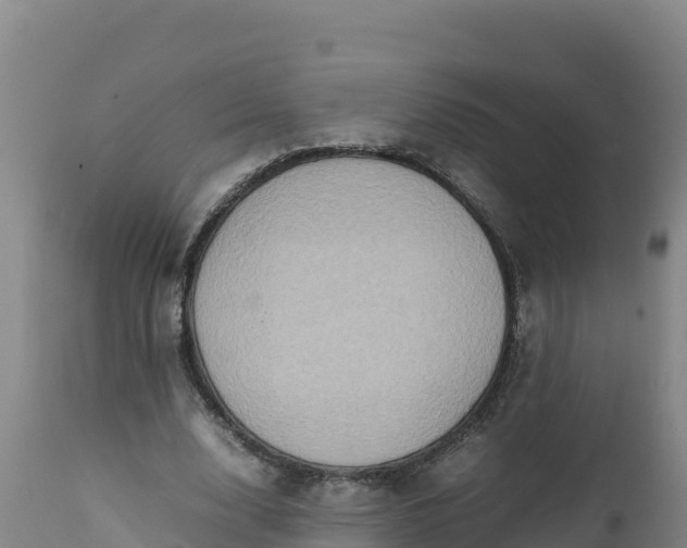 X0000112400632200908281751