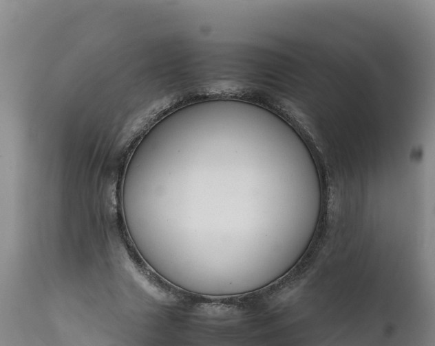 X0000112400633200908281751