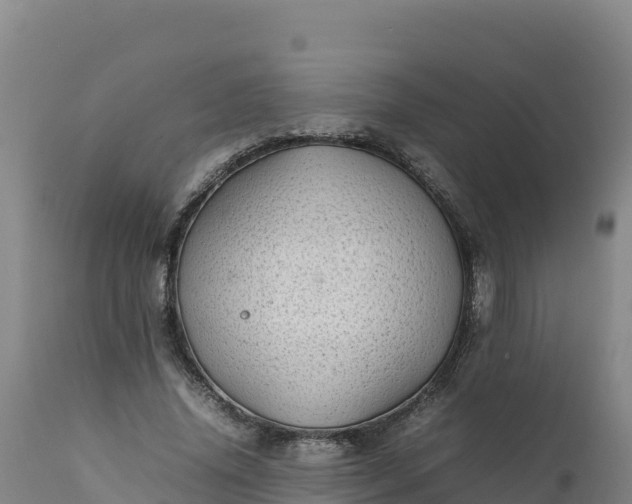 X0000112400636200908281751