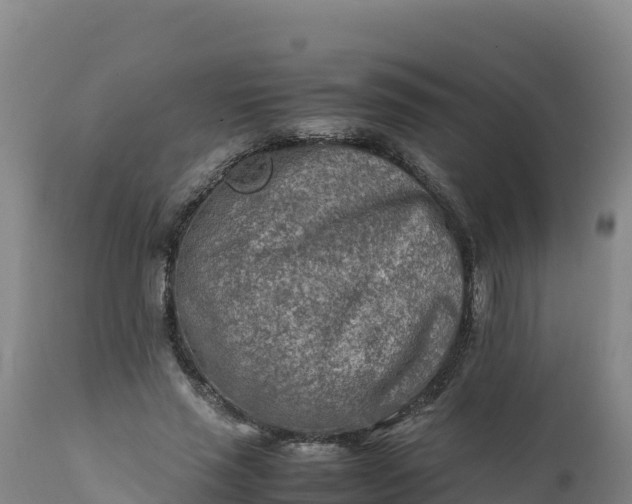 X0000112400637200908281751
