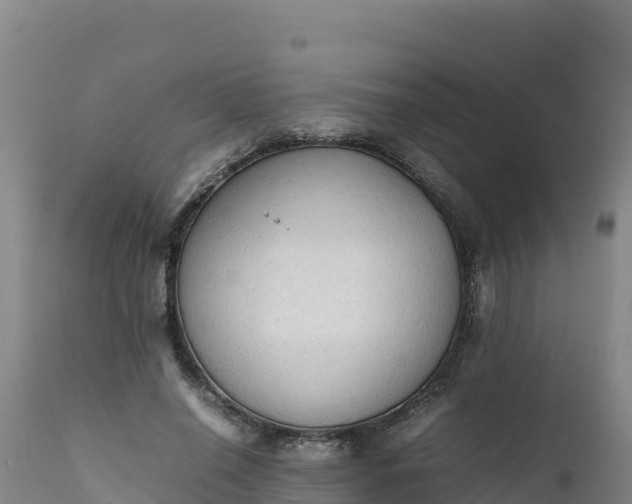 X0000112400638200908281751