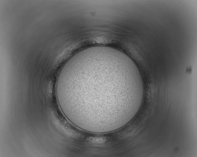 X0000112400639200908281751