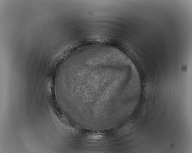 X0000112400643200908281751