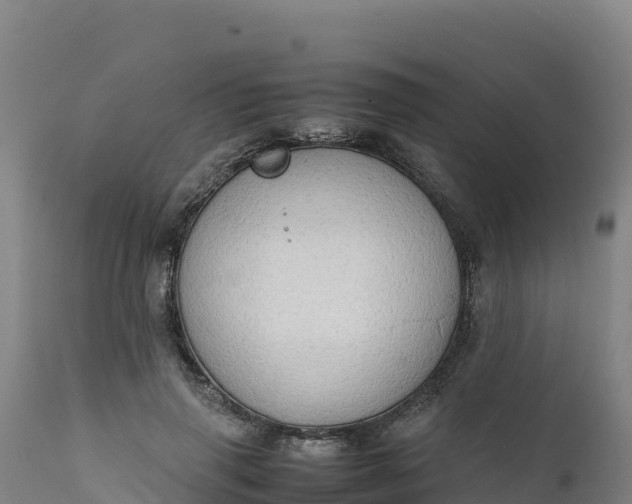 X0000112400645200908281752