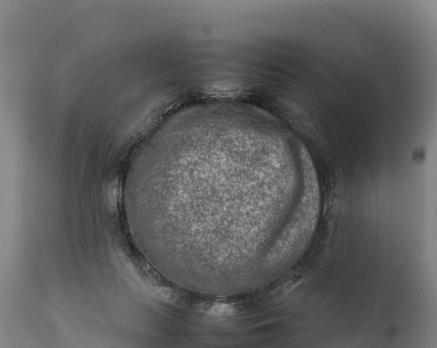 X0000112400647200908281752