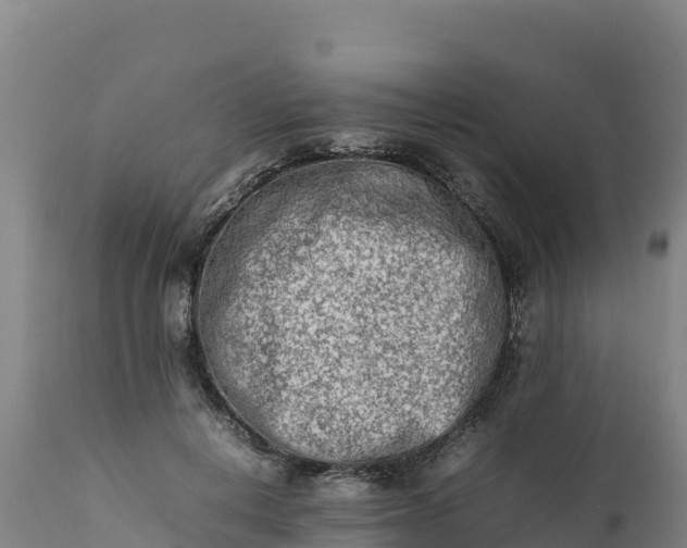 X0000112400648200908281752