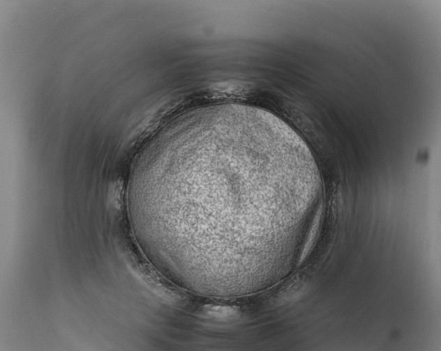 X0000112400649200908281752