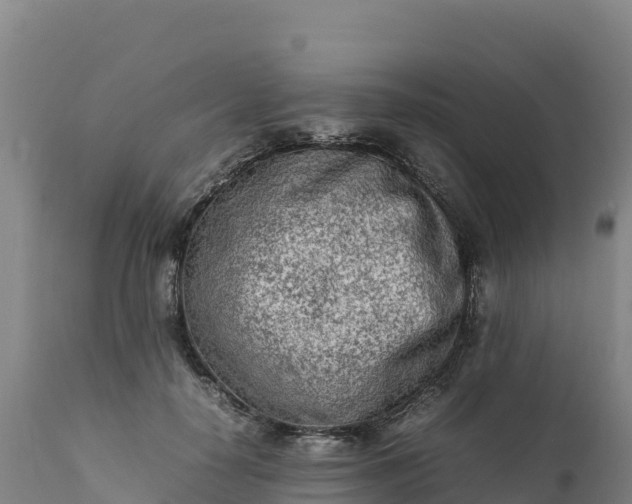 X0000112400650200908281752