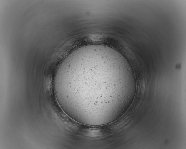 X0000112400651200908281752