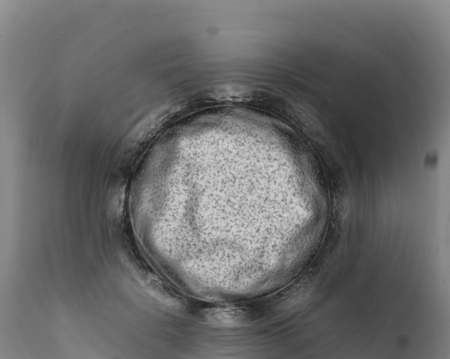 X0000112400652200908281752
