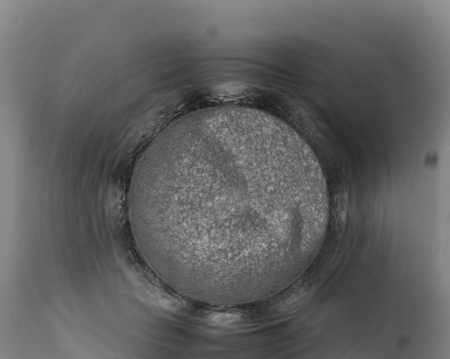 X0000112400653200908281752