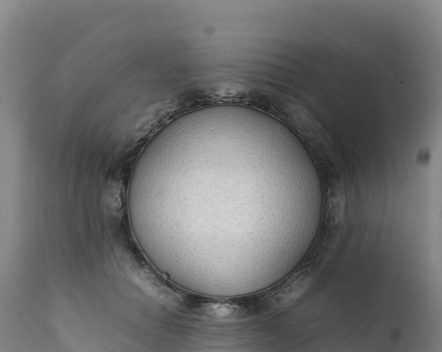 X0000112400654200908281752