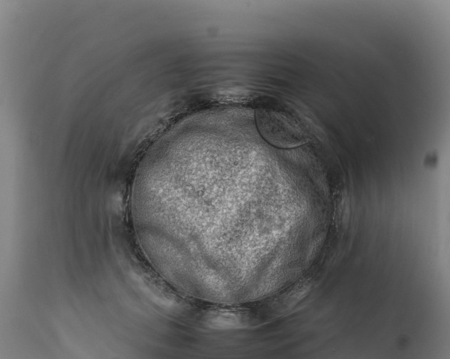 X0000112400655200908281752
