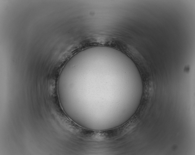 X0000112400656200908281752